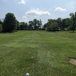 green grass with the flag in the hole.