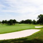 green grass with the flag in the hole.