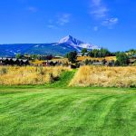 green grass with the flag in the hole.
