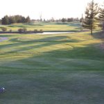 green grass with the flag in the hole.
