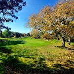Panoramic view of a lush green golf course at Birnamwood Golf Course. Smooth