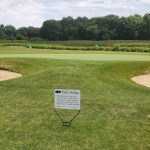 green grass with the flag in the hole.
