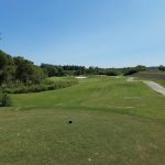 green grass with the flag in the hole.