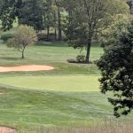 green grass with the flag in the hole.