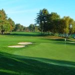 green grass with the flag in the hole.