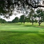 green grass with the flag in the hole.