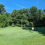 green grass with the flag in the hole.