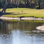 Panoramic view of a lush green golf course at Boca Royale Golf & Country Club. Smooth