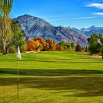 green grass with the flag in the hole.