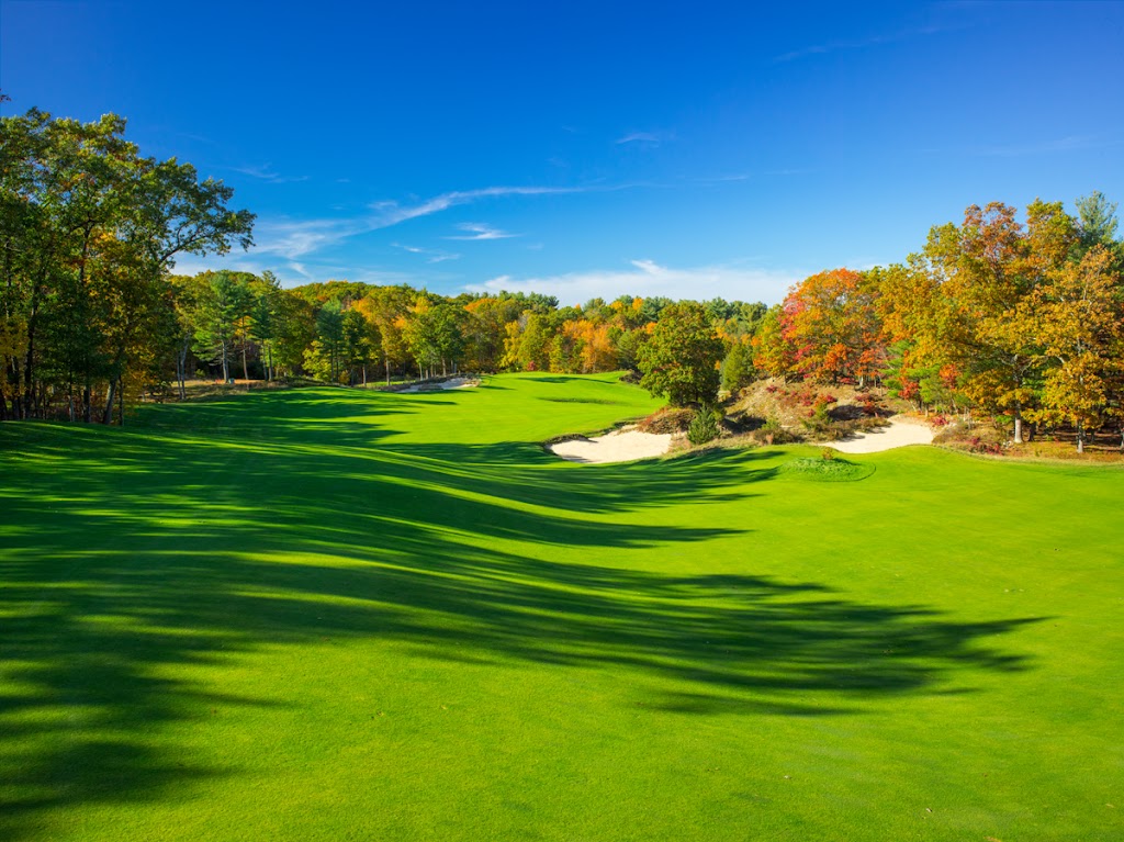 green grass with the flag in the hole.