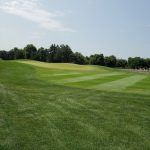 green grass with the flag in the hole.