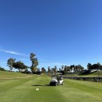 green grass with the flag in the hole.