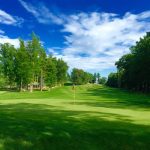green grass with the flag in the hole.