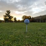 green grass with the flag in the hole.