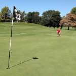 green grass with the flag in the hole.