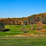 green grass with the flag in the hole.