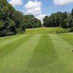 green grass with the flag in the hole.
