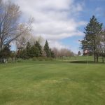 green grass with the flag in the hole.