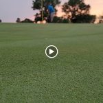 green grass with the flag in the hole.