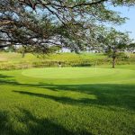 Panoramic view of a lush green golf course at Broadland Creek Golf Course. Smooth