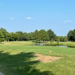 green grass with the flag in the hole.