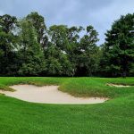 green grass with the flag in the hole.