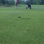 green grass with the flag in the hole.