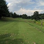 green grass with the flag in the hole.