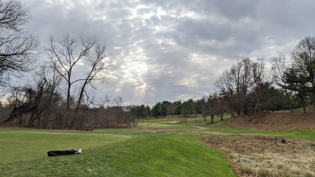 Panoramic view of a lush green golf course at Buena Vista Golf Course. Smooth