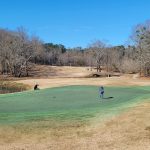 green grass with the flag in the hole.