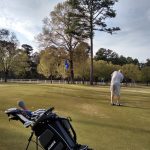 green grass with the flag in the hole.