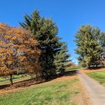 Panoramic view of a lush green golf course at Butter Valley Golf Course. Smooth