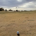 green grass with the flag in the hole.