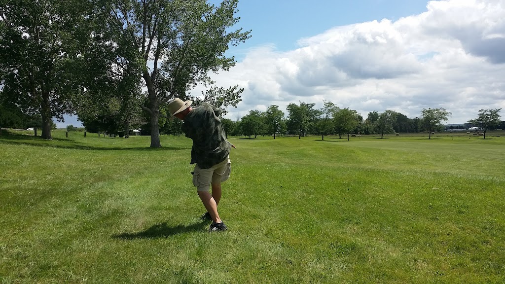 green grass with the flag in the hole.
