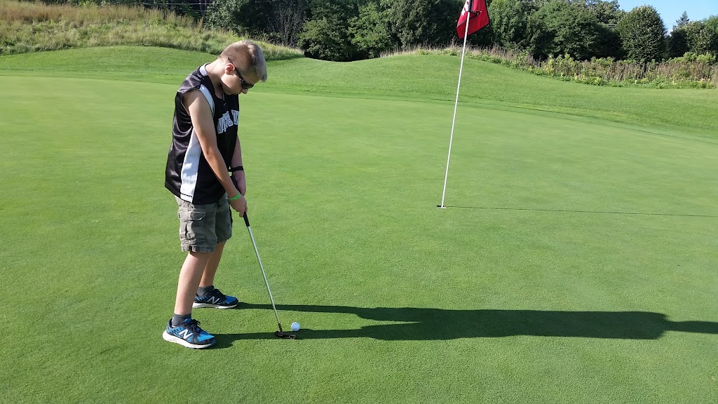green grass with the flag in the hole.