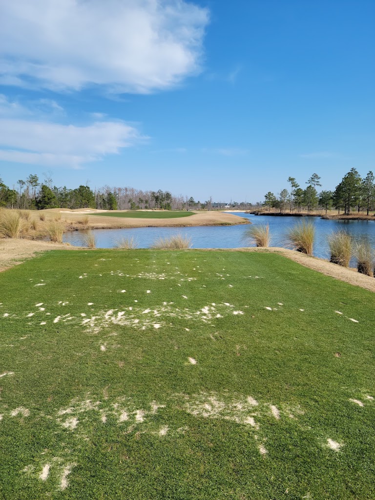 Panoramic view of a lush green golf course at Cape Fear National Golf Course at Brunswick Forest. Smooth