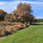 Panoramic view of a lush green golf course at Carl Dickman Par 3 Golf Course. Smooth