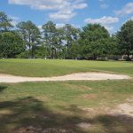 green grass with the flag in the hole.