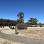 green grass with the flag in the hole.