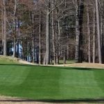 green grass with the flag in the hole.
