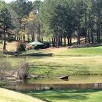 Panoramic view of a lush green golf course at Caswell Pines Golf Club. Smooth