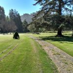 Panoramic view of a lush green golf course at Cedar Bend Golf Course. Smooth