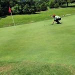 green grass with the flag in the hole.