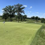 green grass with the flag in the hole.