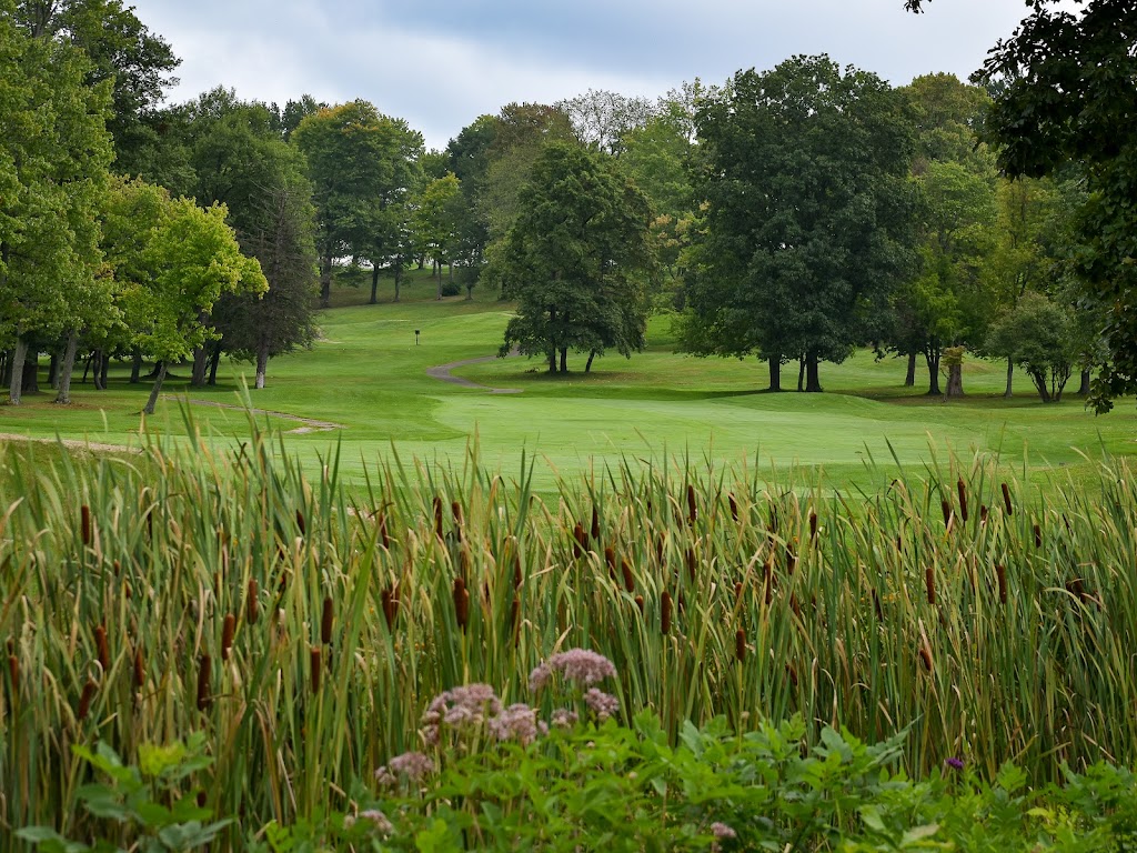 Panoramic view of a lush green golf course at Cedarbrook Golf Course. Smooth