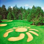 green grass with the flag in the hole.