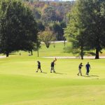green grass with the flag in the hole.