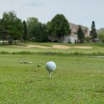 green grass with the flag in the hole.