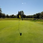 green grass with the flag in the hole.