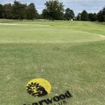 green grass with the flag in the hole.
